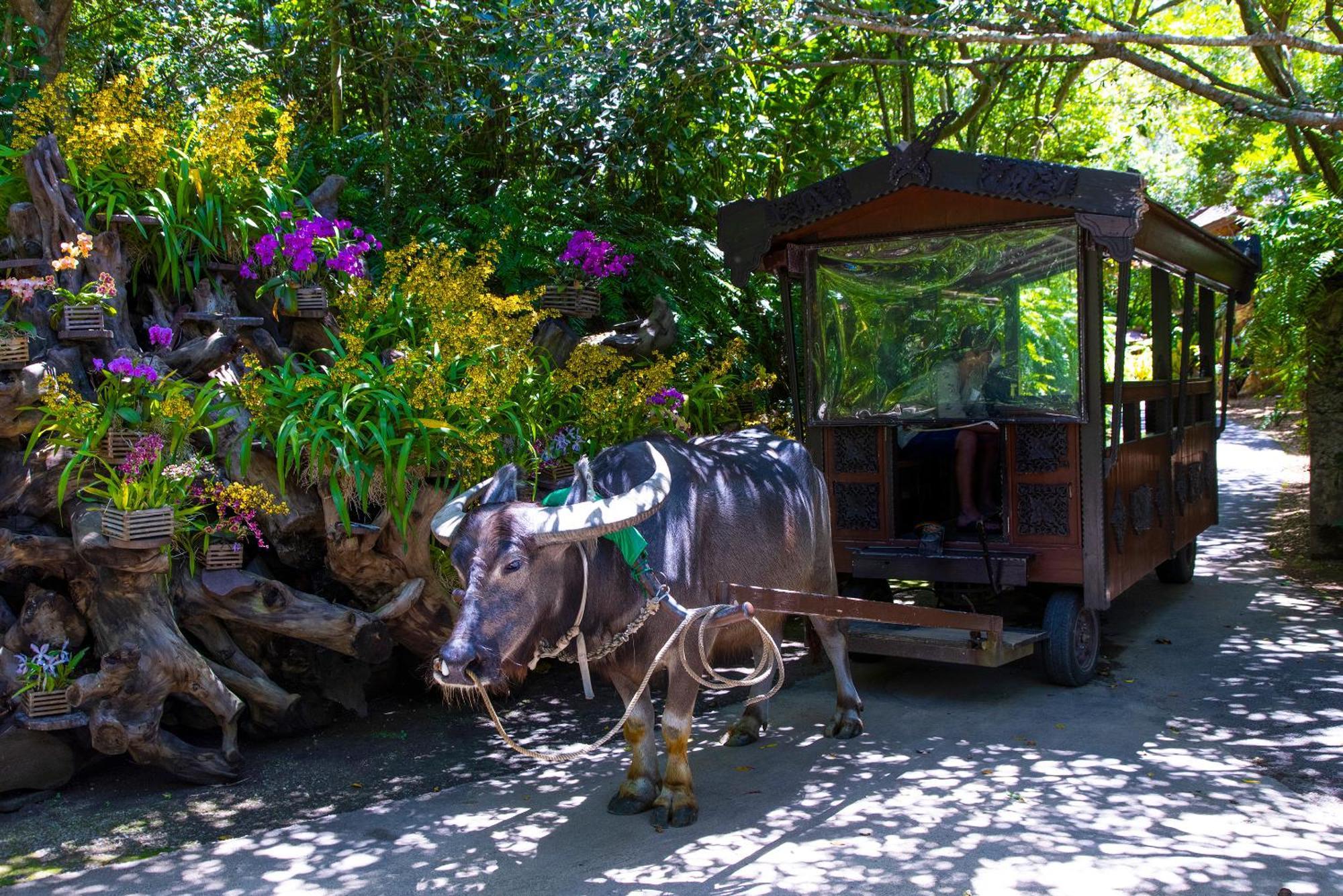 فيلا 新規オープン サウナ Bbq ジャグジー付き 最大7名 無料駐車場4台 ビーチまで車で5分 Sky House يوروما المظهر الخارجي الصورة